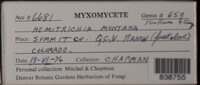 Image Associated With the Occurence